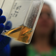 A researcher holding up a container of stem cells.
